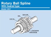 Eixos Estriados LBGT